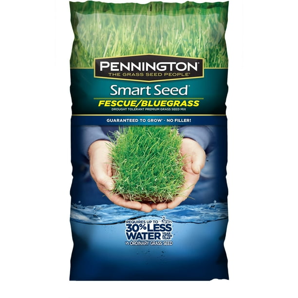 Pennington Smart Seed Saves Up To 30 Water, Fescue and Bluegrass Grass