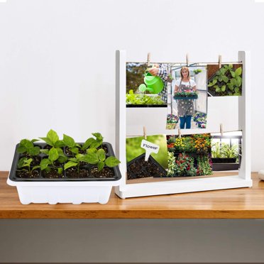 5 Pack Seed Starting Trays 12 Cells Insert Hot House | Desertcart Australia