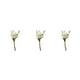 thumbnail image 1 of Cateissary Durabilidad y encanto duraderos en ramo de flores secas naturales flor seca en relieve elegante HS-11, 1 of 6