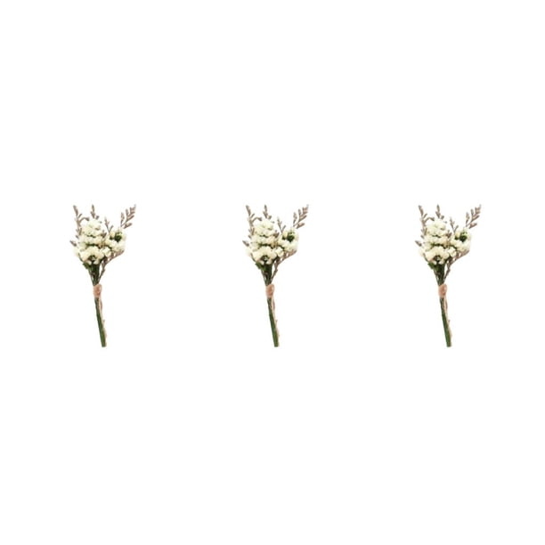Cateissary Durabilidad y encanto duraderos en ramo de flores secas naturales flor seca en relieve elegante HS-11