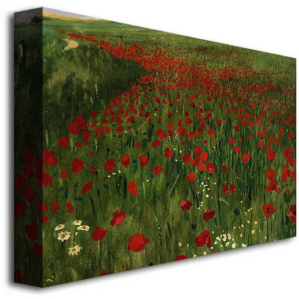 "The Poppy Field 1896" Canvas Wall Art by Pal Szinyei Merse