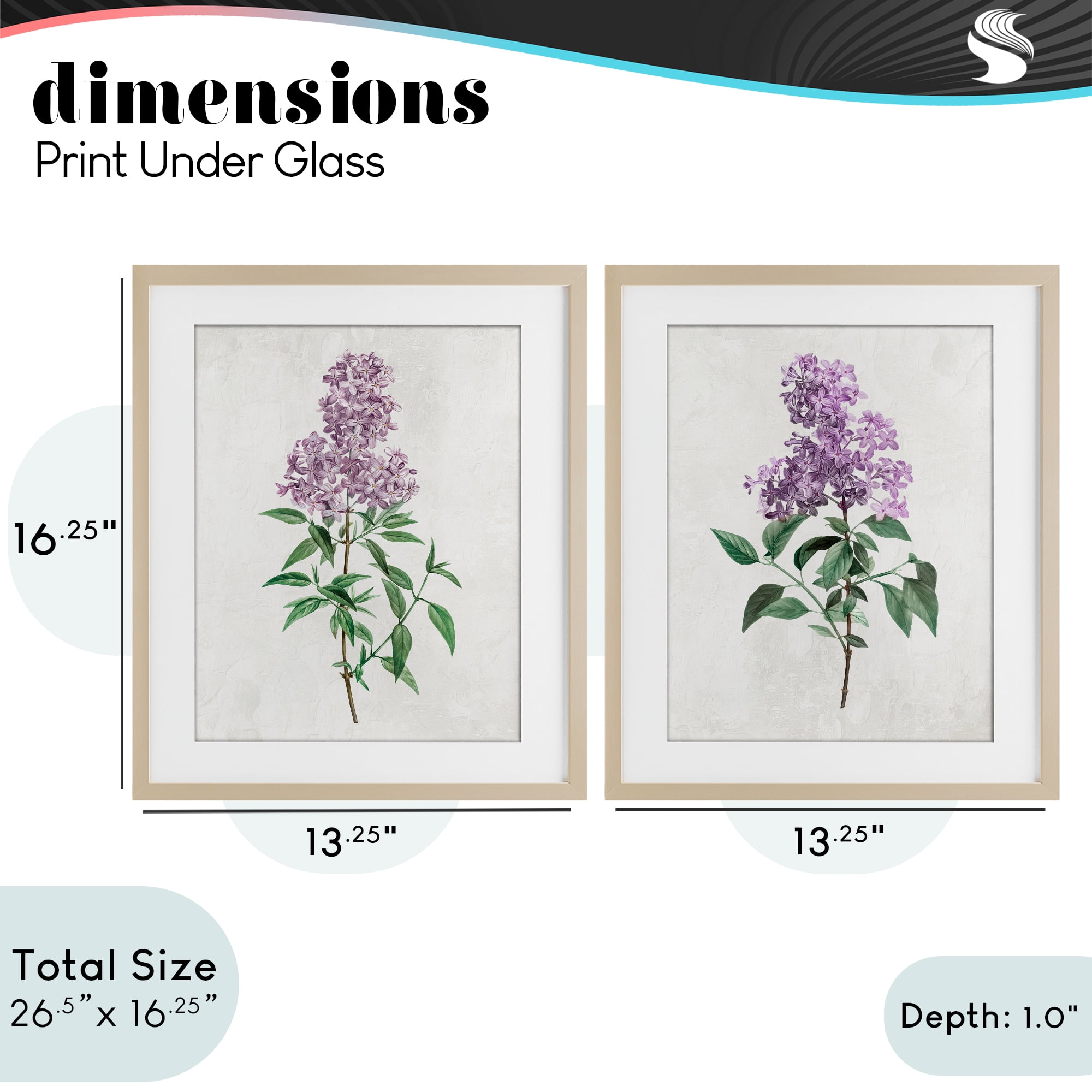 Stupell Industries Herbaceous Lilac Blooms 2 Piece Birch Framed Print Under Glass Set, design by Kim Allen