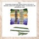 thumbnail image 2 of 12 madejas, 105 yardas, 6 hebras, hilo de bordar matizado, morado y verde, para pulseras de la amistad., 2 of 9