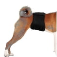 thumbnail image 5 of 3pcs Male Dog Diapers Washable Pupply Diaper Durable Doggie Sanitary Physiological Pant, 5 of 5