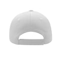 thumbnail image 2 of Atlantis Liberty Five Heavy Brush Cotton 5 Panel Cap, 2 of 5