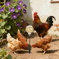 thumbnail image 6 of Bird Feeders Chicken Dispenser Enrichment Ground Stake Feeder For Coop Hens Geese Turkeys Poultry 2pc Package 2PCS, 6 of 6