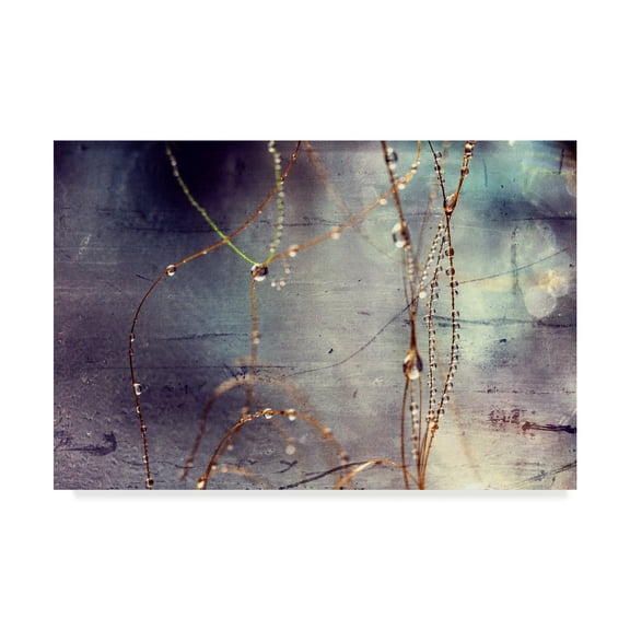 Trademark Fine Art 'Weathered Droplets' Canvas Art by Incredi