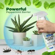 Mighty Mint 16 oz Peppermint Oil Insect & Pest Spray - Microfiber Cloth Kit - for Spiders, Ants, and More