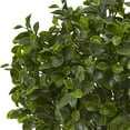 thumbnail image 2 of Nearly Natural Peperomia IndoorOutdoor UV Resistant Plant, 23, 2 of 3