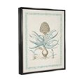 thumbnail image 3 of Stupell Industries Botanical Latin Study Plant Graphic Art Jet Black Floating Framed Canvas Print Wall Art, Design by Vision Studio, 3 of 6