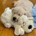 thumbnail image 6 of Original Snuggle Puppy Heartbeat Stuffed Toy for Dogs. Pet Anxiety Relief and Calming Aid, Comfort Toy for Behavioral Training in Golden, 6 of 6