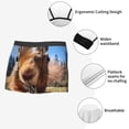 thumbnail image 3 of Yiaed Close-Up Curious Squirrel Print Men's Soft Cotton Boxer Shorts Breathable Boxers Underwear Moisture-Wicking Underwear Stretch Boxer Briefs for Man-XX-Large, 3 of 5