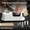 White, variant on Rechargeable Knife Grinder,3 Stage Electric Tool,Automatic Cordless Sharpening,Kitchen Scissor Honing Machine,Fast Polishing Diamond Wheel,Chef Blade Restore System for Seniors Home Cooks
