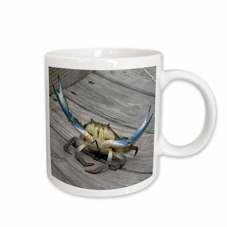 

3dRose Blue Crab - marine creature animal animals wildlife ocean invertebrate blue crab seafood Ceramic Mug 15-ounce