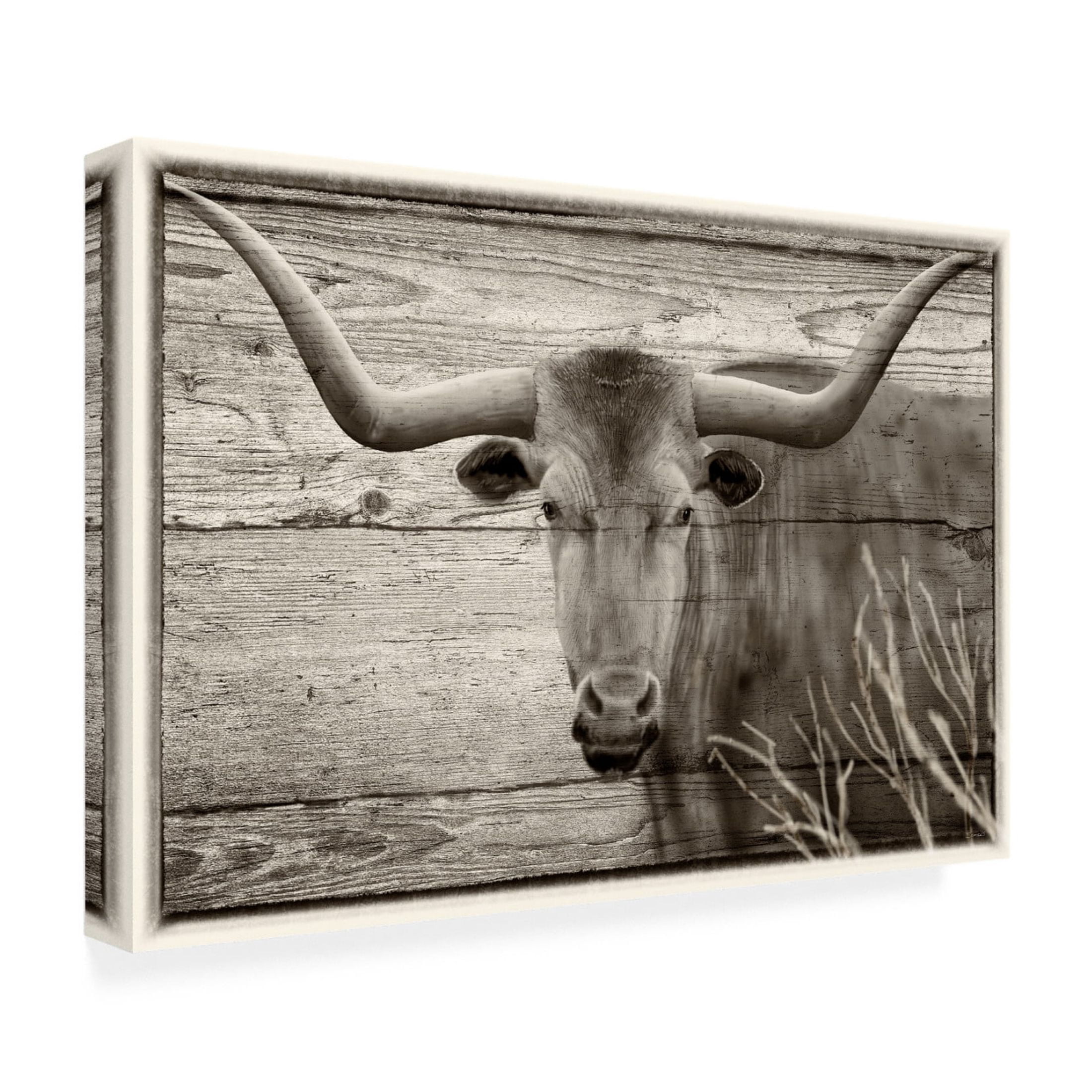 Canvas Wall Art - Gordon Semmens 'Woodgrain Antiques 2' Wall Art for Living Room, Bedroom, or Office Décor by Trademark Fine Art - 32 x 22 Inches