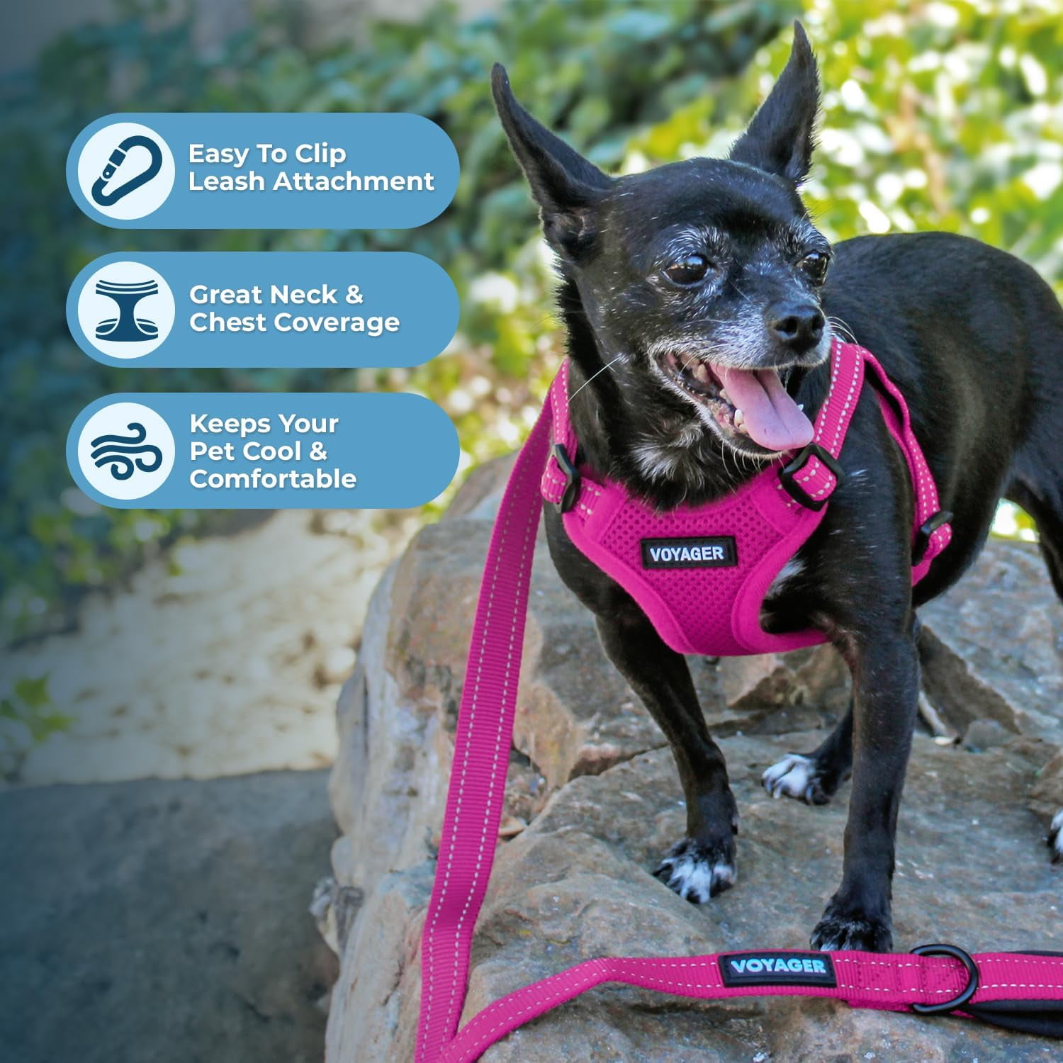 Best Pet Supplies Voyager Step-In Flex Adjustable Mesh Dog Harness
