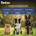 thumbnail image 5 of Denties Dental Chews for Dogs–Vet Recommended Dental Dog Treats for Regular/Medium Dogs(23 to 50 lbs),Cleans Teeth, Freshens Breath,Reduce Plaque,Mint Chicken & Beef Recipe,16 oz Pack,30 Count, 5 of 9