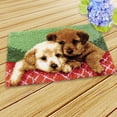 thumbnail image 2 of MesaSe Two Pattern Latch Hook Kits For Beginners Embroirdery Cushion Carpet, 2 of 8