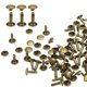 thumbnail image 1 of Uxcell 100 juegos de remaches de cuero de doble tapa, remaches metálicos tubulares redondos de 9x12mm para elaboración de cuero, bronce, 1 of 7