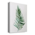 thumbnail image 2 of Sage Frond II Premium Gallery Wrapped Canvas - Ready to Hang - 12 x 18, 2 of 9