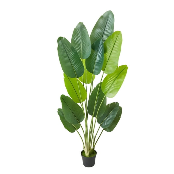 KFFKFF Artificial Bird of Paradise 6 ft Tall, Fake Tropical Plants with with 13 Trunks & White Pot, Faux Floor Silk Tree, Large Trees