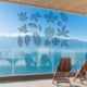 thumbnail image 4 of Transparent window decals protect wild birds from impacts, bird safety., 4 of 5