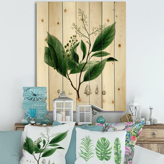 Designart 'Ancient Brazilian Plant II' Traditional Print on Natural Pine Wood