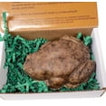 thumbnail image 3 of Indus Valley Bio Organic Natural Henna Color de cabello para cabellos grises - 3.53 oz (marrón castaño), 3 of 5