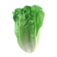 thumbnail image 3 of Alimento Artificial Vegetal Alimento Artificial de Simulación Vegetal Decoración de la Cocina del Hogar Magideal Vegetal Alimento Artificial Vegetal, 3 of 5