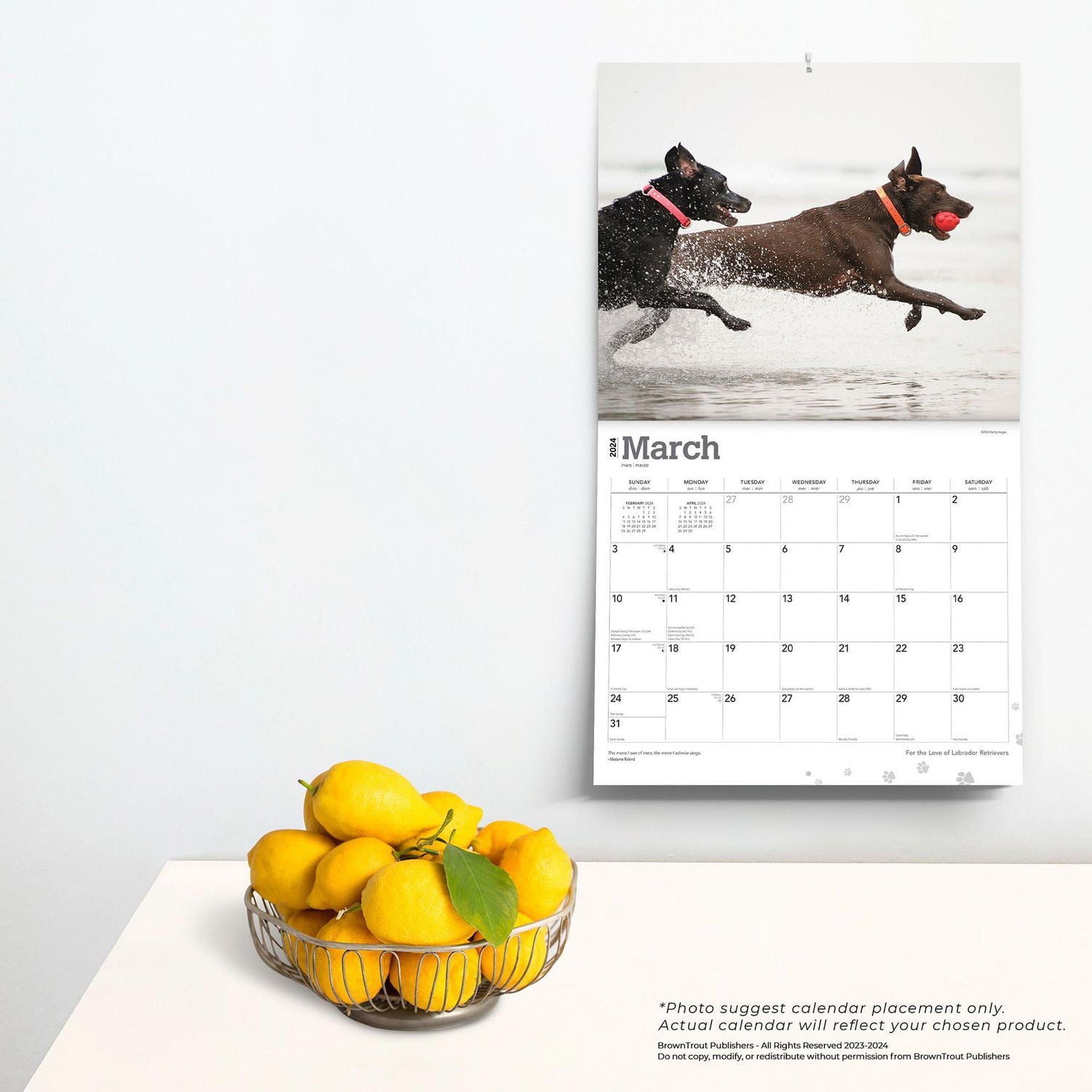 Labrador Retrievers, pour l'amour des 2024 35.56x60.96 CM Mur Deluxe Calendrier, 9781975468613