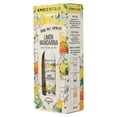 thumbnail image 4 of Eliminador de olores Ambientair Pre WC limon-mandarina 100 ml, 4 of 4