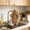 Khaki, variant on Bear Chenille Hand Towel, Cute Cartoon Bear Fuzzy Hanging Towel for Bathroom Kitchen,White