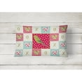 thumbnail image 2 of Carolines Treasures CK5520PW1216 Budgerigar Love Canvas Fabric Decorative Pillow, Red, 12H x16W, multicolor, 2 of 3