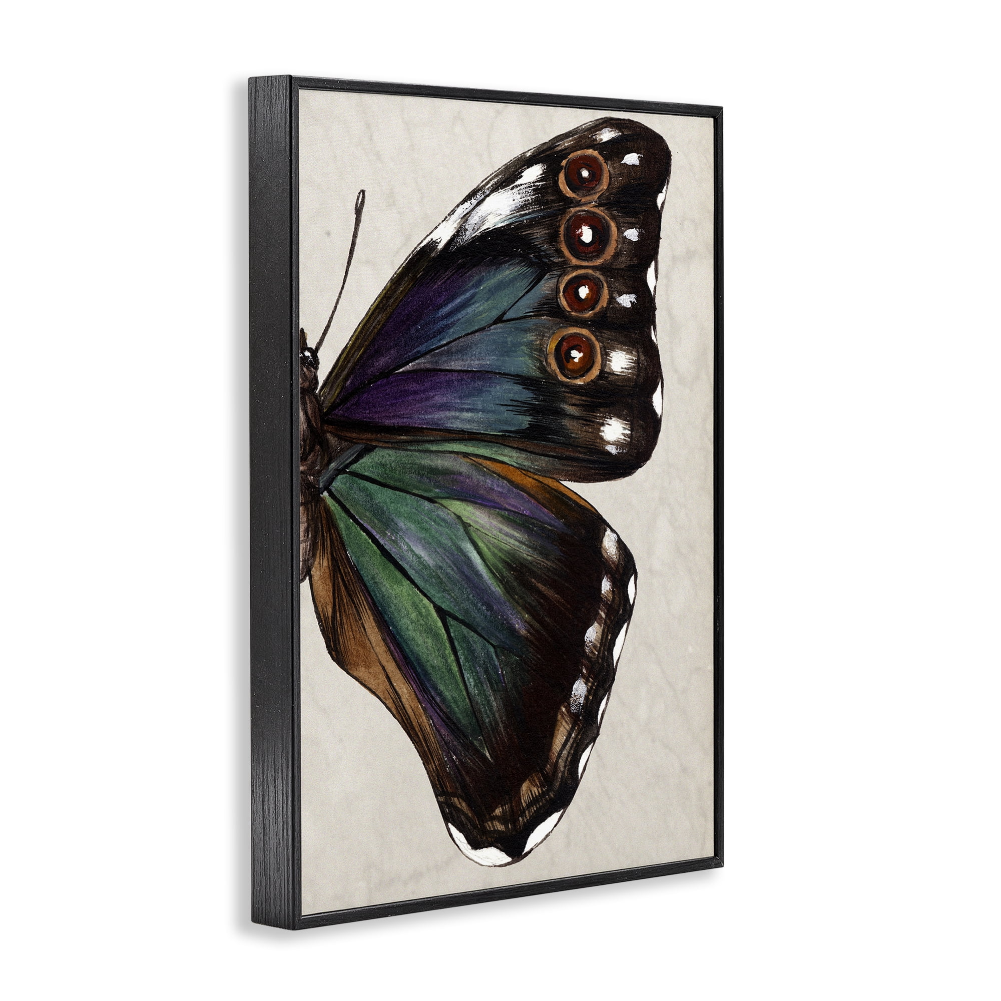 Stupell Industries Classic Butterfly Wing Animals & Insects Painting Black Framed Art Print Wall Art, 20 x 30