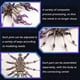 thumbnail image 4 of Kit de maquetas 3D de rompecabezas de metal YUEZUDPO Scorpion para adultos, 4 of 6