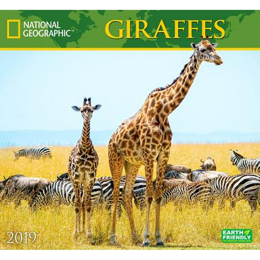 National Geographic Giraffes 2019 Calendar (Other)