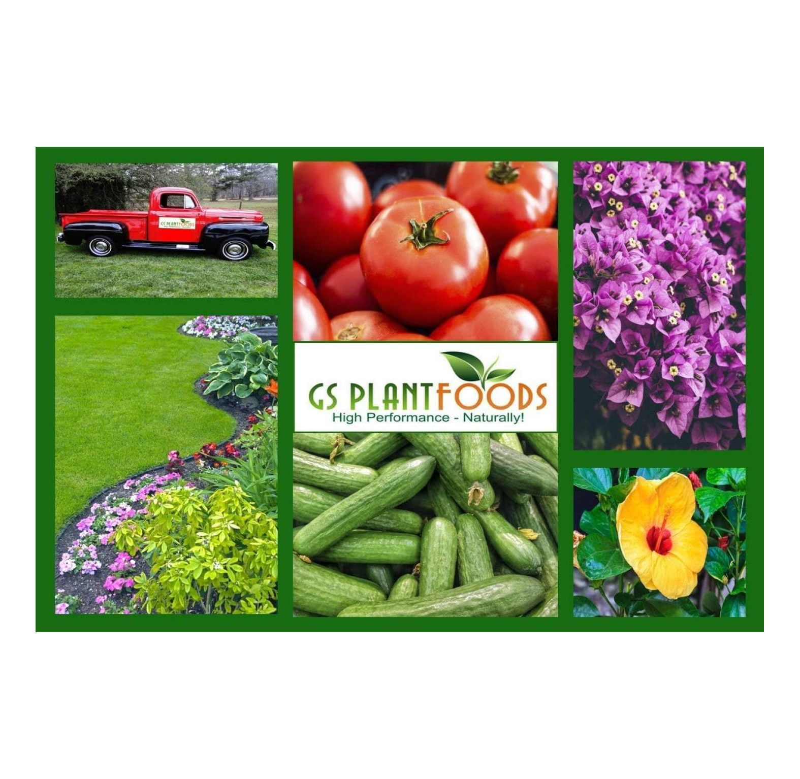 All Purpose Water Soluble 20-20-20 Fertilizer Balanced NPK Plant Food with Micronutrients, Contains Kelp (Ascophyllum nodosum) for Indoor & Outdoor Plants, Gardens & Turf (3 lbs)