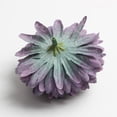 thumbnail image 4 of 2x10pcs Cabezas de Flores de Crisantemo Artificiales para Decoración de Bricolaje Gris Purpúreo perfecl Cabezas de flores artificiales, 4 of 8