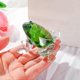 thumbnail image 4 of suitable for Glass Green Frog Figurine Collectibles Crystal Cute Frog Annimal Gifts for Women Table Centerpiece Decorative Ornament-CHENG DU SI XI, 4 of 4