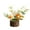 Clear, variant on Crocheted Sunflowers - Hand-Knitted Artificial Potted for Desk & Dashboard Decor, Durable Gift Set for Women, Coworkers & Classmates (Home/Office Decoration)
