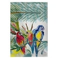 thumbnail image 1 of Betsy Drake GT217 Perroquet Famille Invité Serviette - 20 x 20 Po., 1 of 1