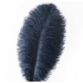 thumbnail image 2 of Craft Feathers Ballinger, avestruz azul marino, 25-30 cm, 24 unidades, 2 of 7