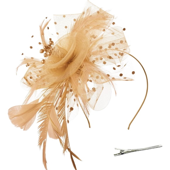 DRESHOW Chapeau Fascinators Fleur Rubans en Maille Plumes sur un Bandeau et une Pince Couvre-Chef pour Fête du Thé pour Filles et Femmes