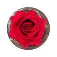 thumbnail image 3 of Rosa Eterna Preservada En Cúpula De Cristal Con Luces Led Para Siempre, Amor, Recuerdo De Boda, Regalos De Navidad De San Valentín Para Mujeres Cateissary HA020611-00, 3 of 5