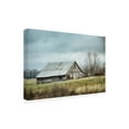 thumbnail image 2 of Jai Johnson 'An Old Gray Barn' Outdoor All-Weather Wall Decor, 2 of 3