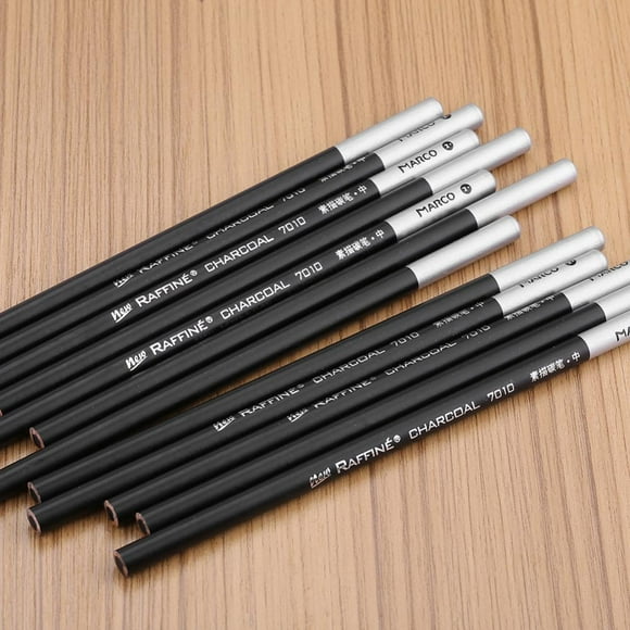 Rdeghly 12pcs/Lot Charcoal Pencil Set Professional Art Drawing Sketching Pencils School Stationery, Charcoal Pencil Set, Charcoal Drawing Pencil