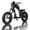 Black, variant on BIGNIU BG-X Electric Bike for Adults,740W Brushless Motor 48V/31.5Ah Up to 40 Miles E-Bike Front/Rear Turn Signal Dual Suspension Ebikes UL2849