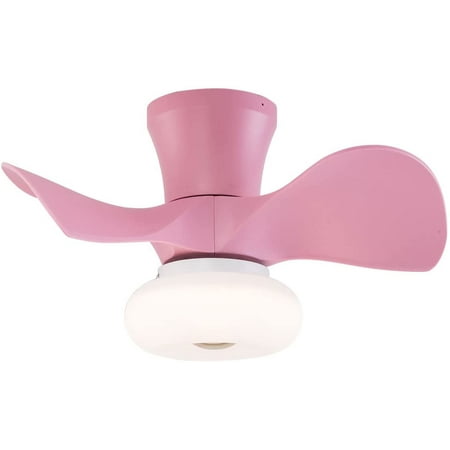

TFCFL 22 Modern Simple Creative Ceiling Fan Light W/ Remote Control 3 Colors Available