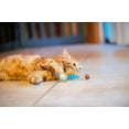 thumbnail image 6 of Vibrant Life Mesh Feather Ball Cat Toy, Orange/Blue, 6 of 7
