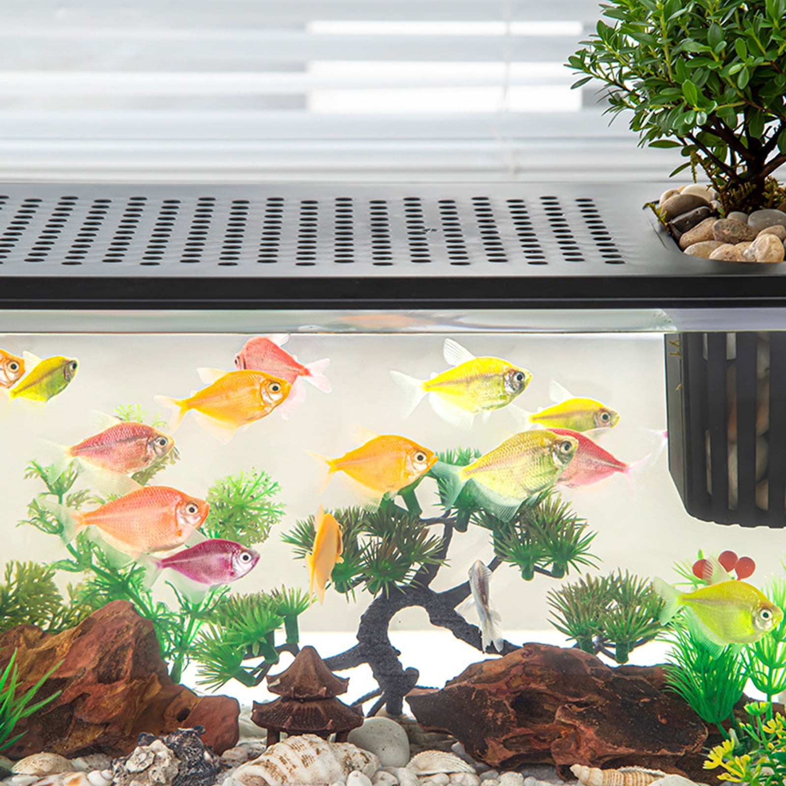 Modern Leakproof Aquarium with Child-Safe Lid & Plant Holder, Home Office Desktop Fish Habitat for